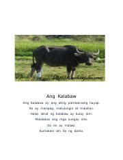 picture ng kalabaw|Kalabaw Photos, Images and Pictures .
